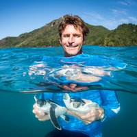 Mark Hamann (@turtlesatjcu) 's Twitter Profile