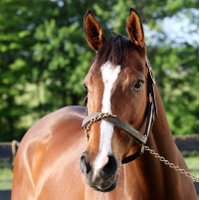 Tom Proctor Racing(@TProctorRacing) 's Twitter Profile Photo