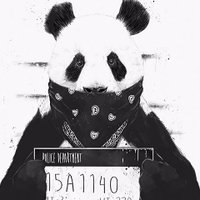 Pandah (@pandah___) 's Twitter Profile