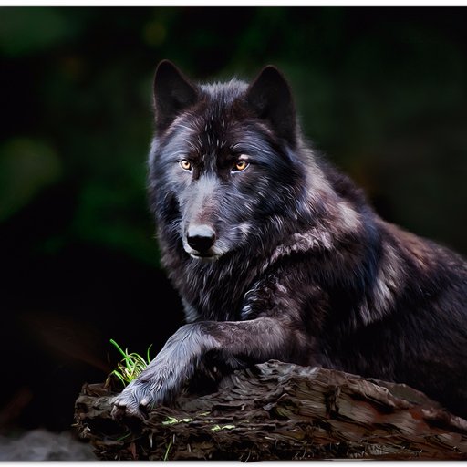 A malicious cold-hearted Eastern male wolf. He's bloodthirsty and somewhat insane.