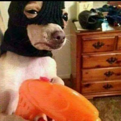 quentaviousb's profile picture. 