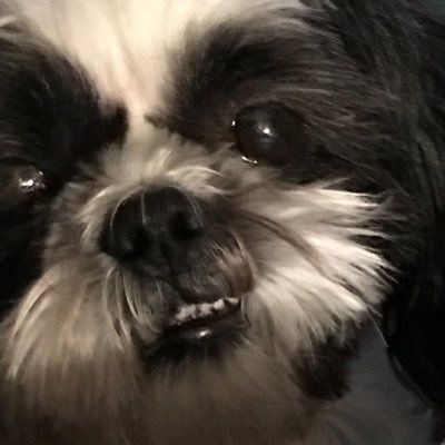 plblblblblblb's profile picture. 