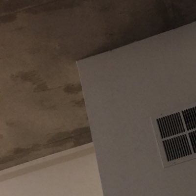 ManPinapple's profile picture. baby they call me gogo nuts 😊