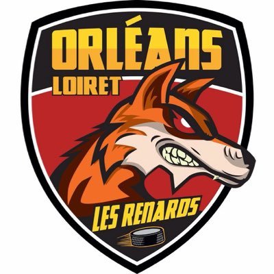 OLHG - Orléans Loiret Hockey sur Glace Les Renards et les Renardeaux d'Orléans