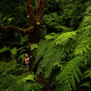 titogarden123's profile picture. 