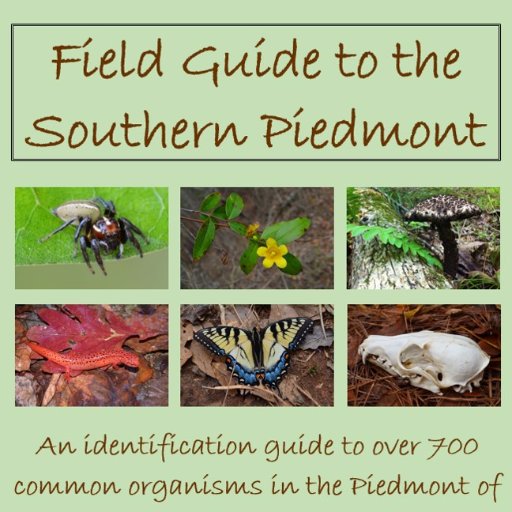 Learn about plants, fungi, and wildlife in the Piedmont of the Carolinas & Georgia. I post more regularly on the SPNH Facebook page.