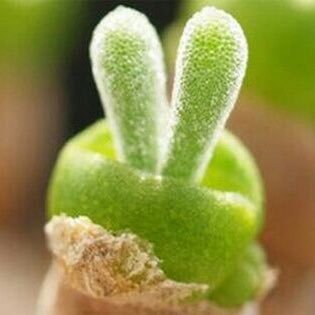 ifang1608's profile picture. จะต้องแลกกับอะไรบ้าง. แค่ขอคนที่จะอยู่เคียงข้างอย่างจิงใจ