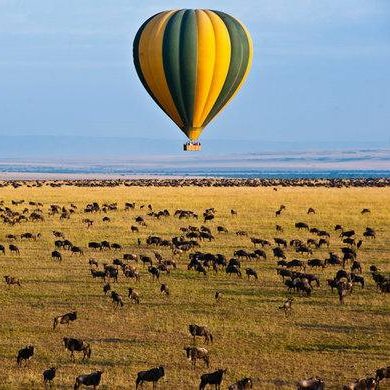 PROUD OF TANZANIA SAFARIS LIMITED deal with tourism activities around the world and our aim is to provide good safari 
.proudoftanzaniasafaris@gmail.com
