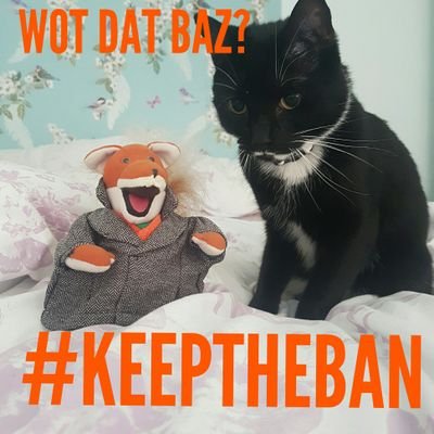 #keeptheban and save the foxes! Guys we need 2 sign da petition 🕊 peace for all fur friends!