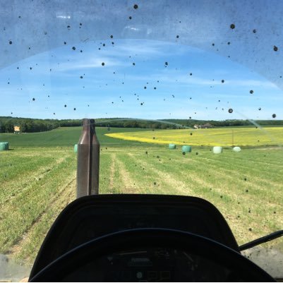 lisarose58's profile picture. 