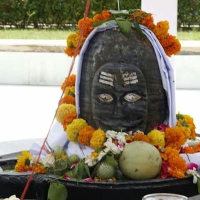 RachitS29443527's profile picture. My passion