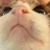 Djeno (@wijnantsjano) Twitter profile photo Djeno (@wijnantsjano) Twitter profile photo