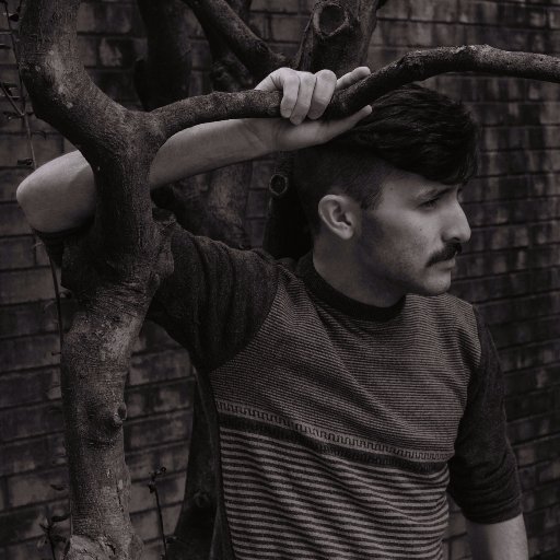 willinwriting's profile picture. Senior Technical Artist at Meta
opinions are obviously my own