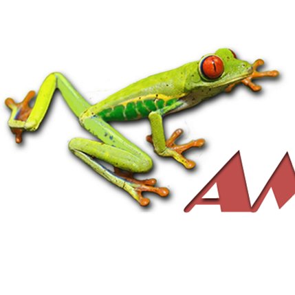 amphibian_eu's profile picture. #RareEarthFree #PermanentMagnets #FlyWheel #GreenTech #EUresearch #H2020 @EU_H2020