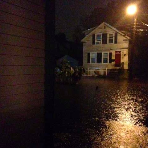 International baroque musician (https://t.co/xcusAxAahC) who also maintains Lake Lincoln, City of Concord, NH with her own 150,000 gallon stormwater basin!!!