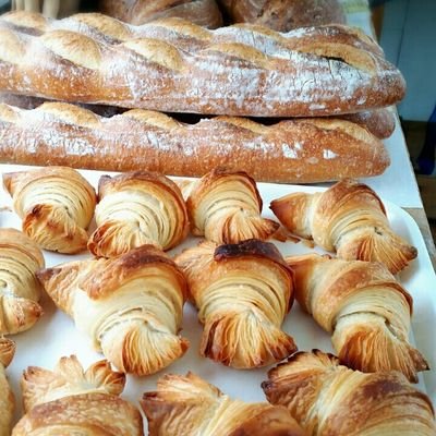 taketogood's profile picture. 無農薬野菜を育てる農家。有機JAS取得。元兼業パン屋。子供達が宝物。毎日賑やかに穏やかに暮らしています。