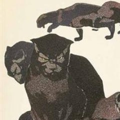 TomWallerberger's profile picture. 