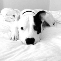 PAAS - Arlington TX (@paasofaas) 's Twitter Profile Photo PAAS - Arlington TX (@paasofaas) 's Twitter Profile Photo