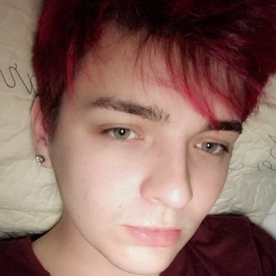 beansgoober_'s profile picture. kinda just a fan account 😊