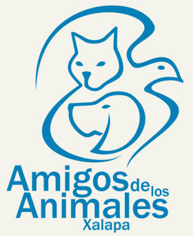Somos la Asociación Amigos de los Animales Xalapa, A.C. Más de 20 años velando por la vida animal.