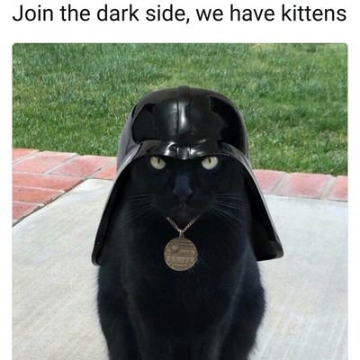 SAdamsOfficial's profile picture. 