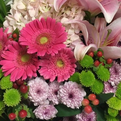 Niapmingtan's profile picture. 