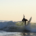 Doogie (@adanacsurfers) Twitter profile photo Doogie (@adanacsurfers) Twitter profile photo