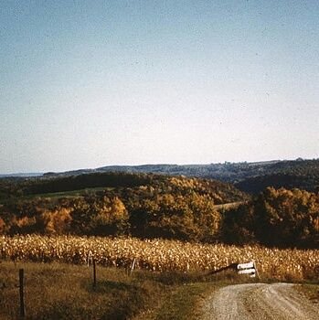 demelo2k's profile picture. 