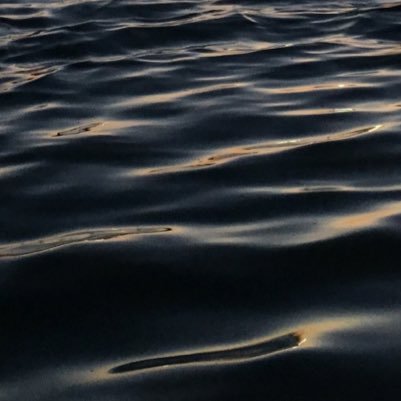 spookiespecter's profile picture. 🖤 i am only a lonely ghost wishing to be seen 〰