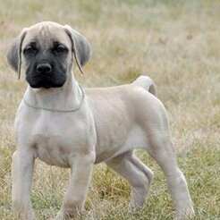 thisfrugalfath's profile picture. Husband, father, financial blogger. https://t.co/A891lIwnuB