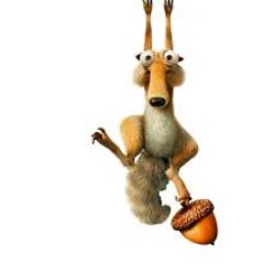 HaagentiV1's profile picture. 
