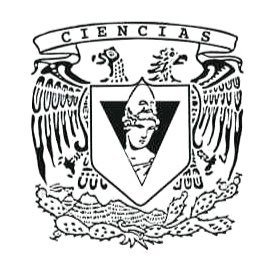 Tampiqueño https://t.co/JZJQW2uENL soporto la injusticia ni la corrupción venga de dónde venga.34 años en las áreas de Seguridad Industrial y Protección Ambiental de Pemex.