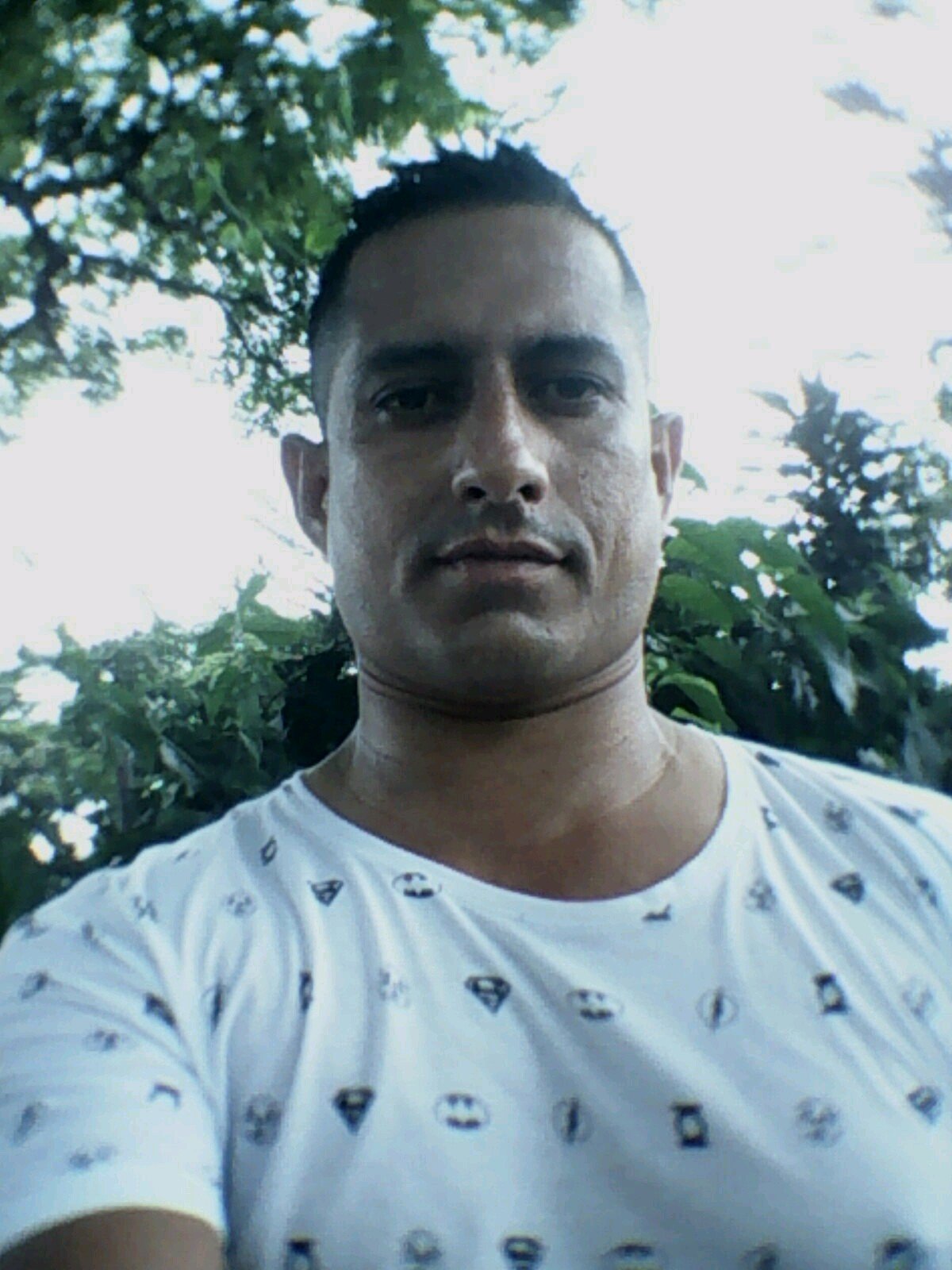 arenastigre's profile picture. 