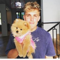 Wongisaverage (@wongizaverage) 's Twitter Profile