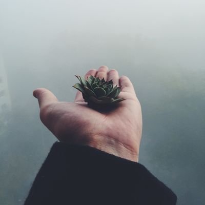 Inspiramos a cuidar nuestro planeta, mostrando los rincones más hermosos 🌿🌎🌊 | Storyteller • Influencer • Viajeros Unidos | .