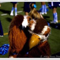 Fmscheer (@fmscheer1) 's Twitter Profile Photo Fmscheer (@fmscheer1) 's Twitter Profile Photo
