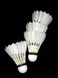 We are a Badminton Club based in Stockport. We play at St Annes RC High School in Stockport