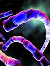 feniathess's profile picture. 