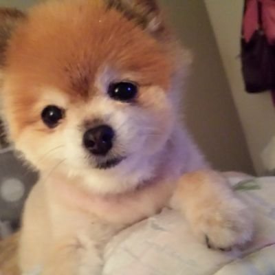 JenniferHare14's profile picture. I love music, movies, gardening, swimming, making people laugh, and art and crafts. I forgot to mention this I love to cook also and damn good at it too. Lol!!