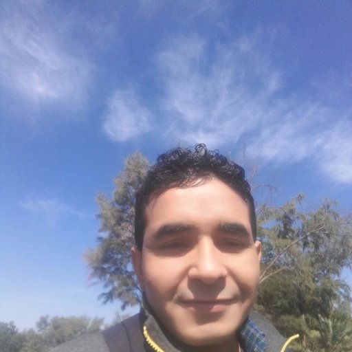 manjeet08387950's profile picture. 