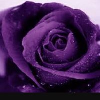 أم ســعود /الكويت (@2000hsm) 's Twitter Profile