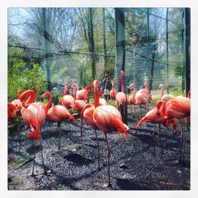 GinaJade3's profile picture. 