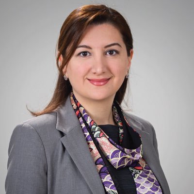 MagdaMagradze's profile picture. Education and international development executive, CEO of #Millennium foundation., Board member of #Liberty Bank, mother of two wonderful human beings
