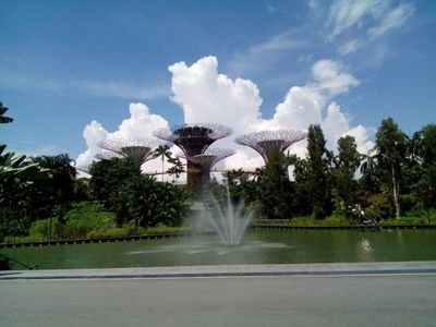 ricsade's profile picture. 