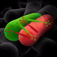 Basler Lab (@basler_lab) 's Twitter Profile