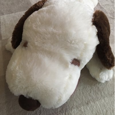 mh_mijuha1116's profile picture. 猫４匹、チワワ3匹(スムースチワワ①・ロングコートチワワ②)、うさぎ1匹、蘭鋳、白メダカと一緒に生活しています！毎日のペットとの日常をゆるーりと気ままに呟いていきます♪Instagram、アメーバブログもやってます♪よかったら覗いて下さい☆