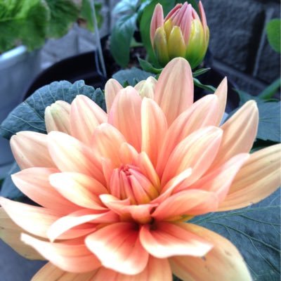 romam828's profile picture. Jesus is my Savior.ローマ8:28/聖書にこそ本当の真実が書かれていることを理解してから世の中の価値観や負担から解放されました。困難の中にある方はもちろんそうで無い方もイエスキリストについて教えてくれるプロテスタントの教会へぜひお出かけください。