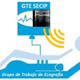 Grupo de Trabajo en Ecografía a pie de cama de la Sociedad Española de Cuidados Intensivos Pediátricos