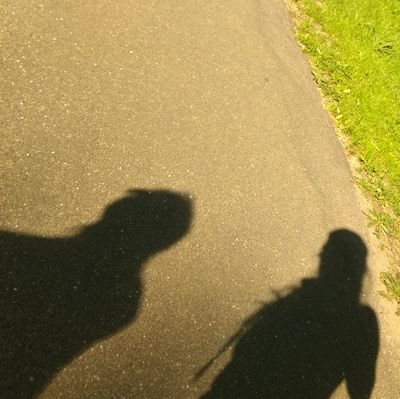 SarangoKelly's profile picture. 