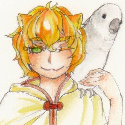 フォロー爆撃機Chi-Cken0号さんのプロフィール画像